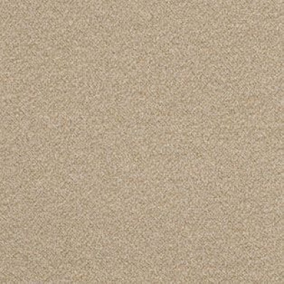 Ковролин AW Confidence (Конфиденс) 37