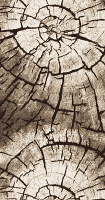 Ковровая дорожка Лайла Де Люкс 15851/10842