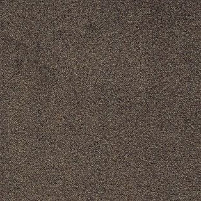 Ковролин AW Confidence (Конфиденс) 44