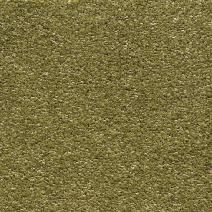 Ковролин AW Invictus Scorpius (Скорпиус) 21