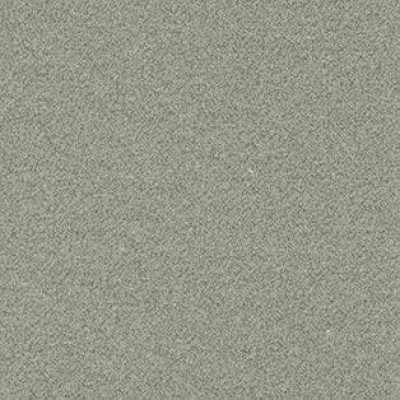 Ковролин AW Confidence (Конфиденс) 27