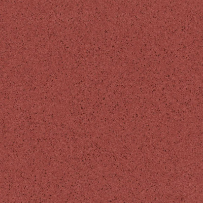 Линолеум Tarkett Primo Plus Primo 306