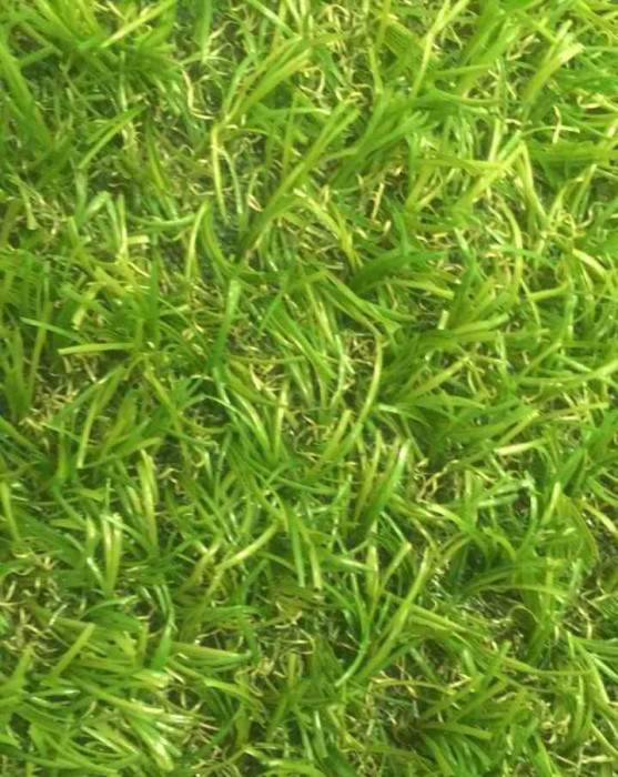 Искусственная трава