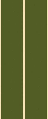 Ковер COLIZEY ( КОЛИЗЕЙ ) AHM1 - GREEN-CREAM