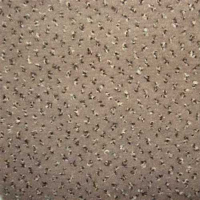 Ковролин Pluto 193