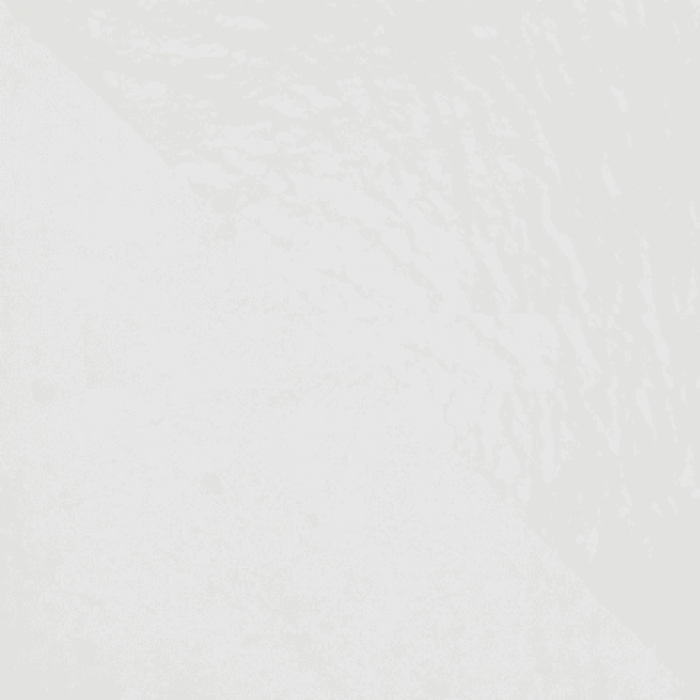 Ковролин Salsa (Сальса) 1950 (C защитной плёнкой)