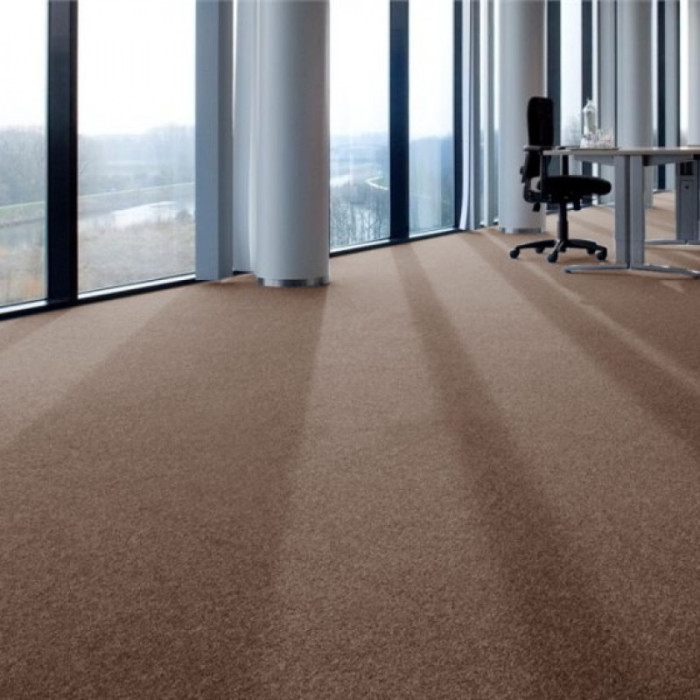 Ковролин ITC Evolve (Ивольв) 038