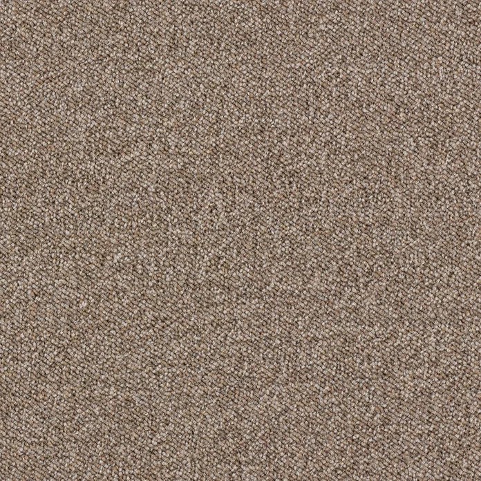 Ковролин AW Maxima (Максима) 37