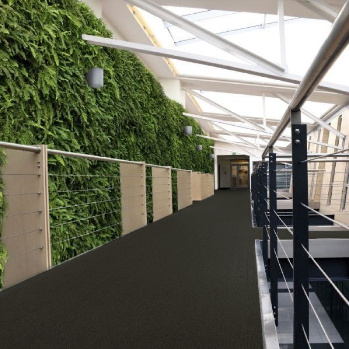 Ковролин ITC E-Weave (И-Вейв) 099