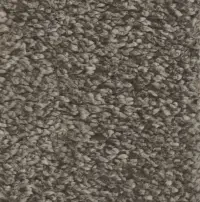 Ковролин Devinity ( Девинити ) Brown