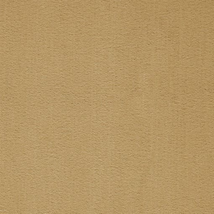 Ковролин ITC President (Президент) 037