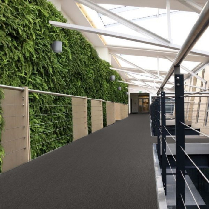 Ковролин ITC E-Weave (И-Вейв) 098