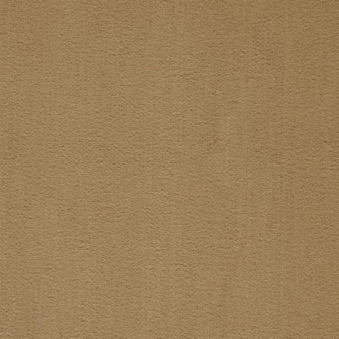 Ковролин ITC President (Президент) 040