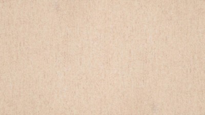 Линолеум Tarkett Travertine Pro Beige 01