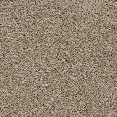 Ковролин AW Vivendi Vigour (Виго) 37