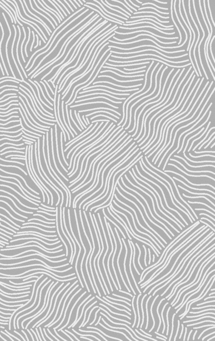 Ковер F658 - GRAY - Прямоугольник - коллекция BRIZ