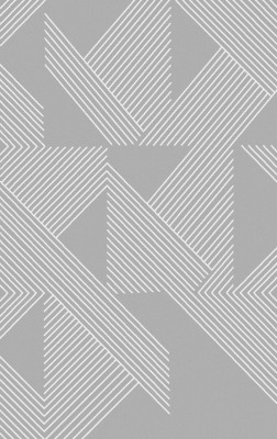 Ковер F660 - GRAY - Прямоугольник - коллекция BRIZ