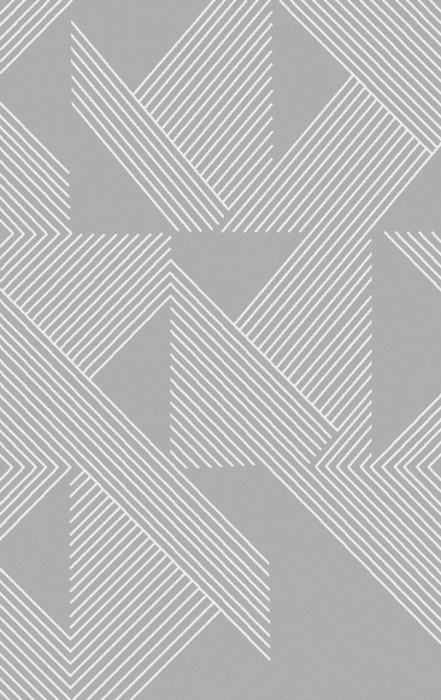 Ковер F660 - GRAY - Прямоугольник - коллекция BRIZ
