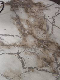 Ковер GRAFF ( ГРАФФ ) 3270 - GRAY-BEIGE ( Овал )