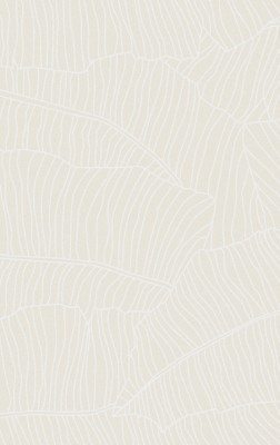 Ковер F662 - CREAM - Прямоугольник - коллекция BRIZ