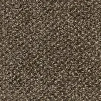 Ковролин Stainaway Tweed (Стейнвей Твид ) 48