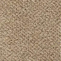 Ковролин Stainaway Tweed (Стейнвей Твид ) 50
