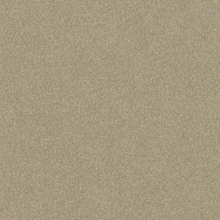 Ковролин Lounge (Лаундж) X4452