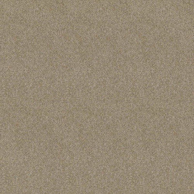 Ковролин Lounge (Лаундж) X4453