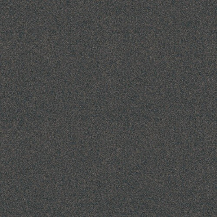 Ковролин Lounge (Лаундж) X4455