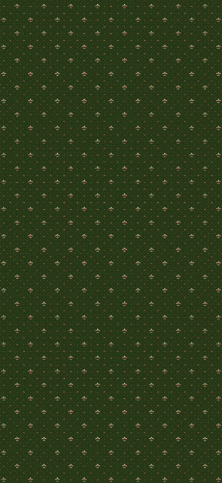 Ковер E026 - GREEN - Дорожка - коллекция ETALON