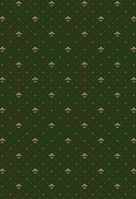 Ковер E027 - GREEN - Дорожка - коллекция ETALON