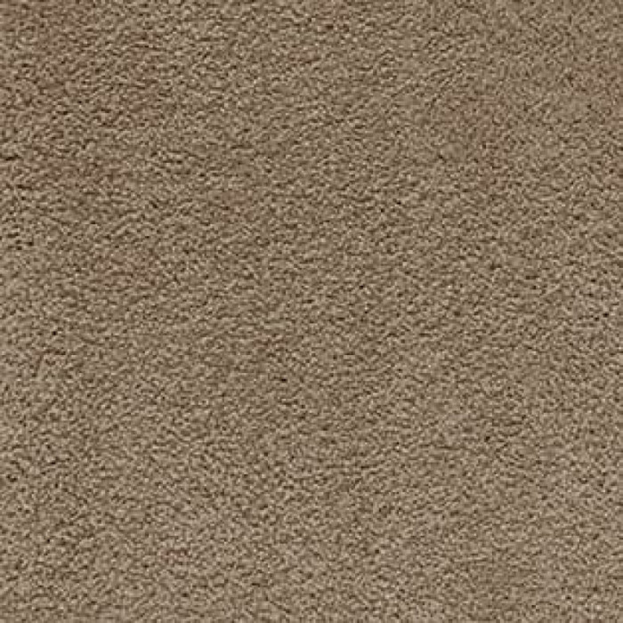 Ковролин AW Sensualite Softissimo (Софтиссимо) 49