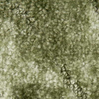 Ковролин AW Tango (Танго) 20