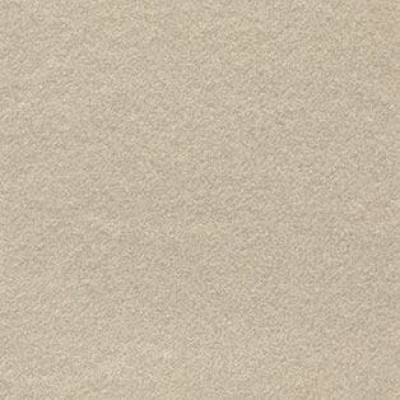 Ковролин AW Confidence (Конфиденс) 05